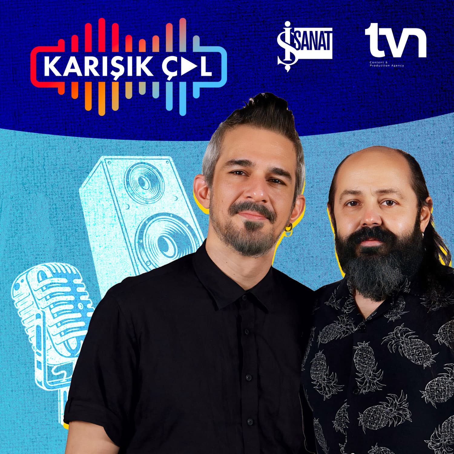 KARIŞIK ÇAL